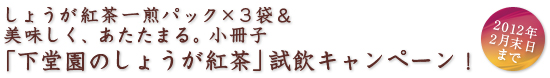 しょうが紅茶一煎パック×3袋＆美味しく、あたたまる。小冊子 「下堂園のしょうが紅茶」試飲キャンペーン！