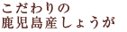 こだわりの鹿児島産しょうが