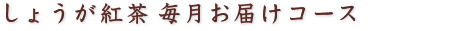 しょうが紅茶 毎月お届けコース